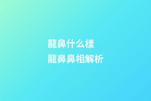 龍鼻什么樣 龍鼻鼻相解析